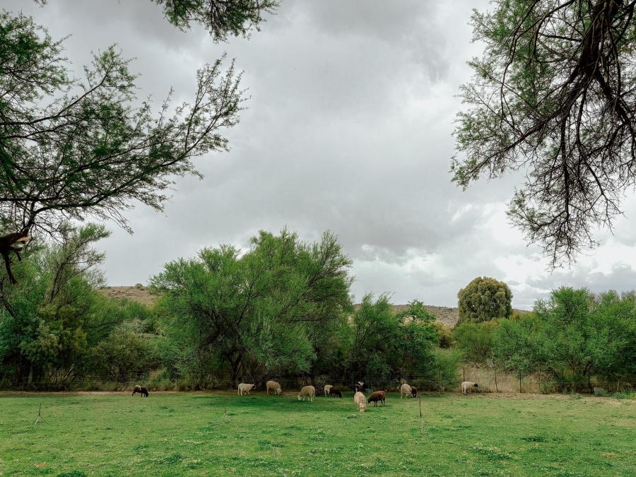 5 Bedroom Property for Sale in Bethulie Free State